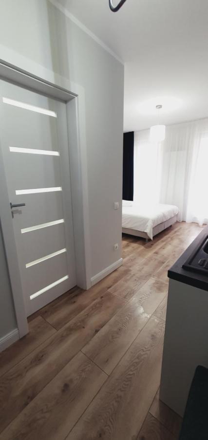 Studio Ema II Baia Mare Luaran gambar